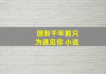 回到千年前只为遇见你 小说